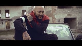 Dani Mocanu  Strangerea dovezilor  Official Video [upl. by Torray]