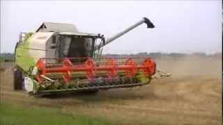 Wheat Harvest 2013 Claas Tucano 450 [upl. by Jody]