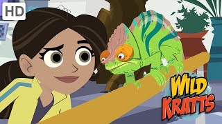 Wild Kratts  Discovering the Secrets of the Animal Kingdom [upl. by Treharne]