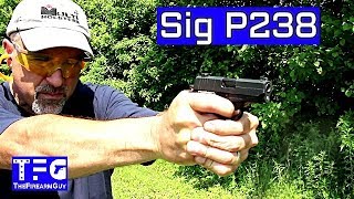 Sig Sauer P238 Range Review  TheFireArmGuy [upl. by Geordie782]