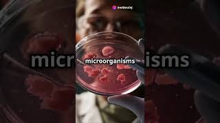 Can microorganisms spontaneously generate [upl. by Carissa661]