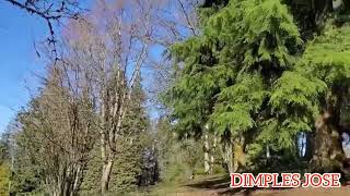 BURNABY MOUNTAIN PARK travelvlog vancouvercanada qualitytime dimplesjose [upl. by Latihs]