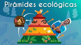 Pirâmides ecológicas  Brasil Escola [upl. by Tammy100]