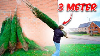 3 METER LANGE KERSTBOOM OPHALEN 🎄 232 [upl. by Jacky]