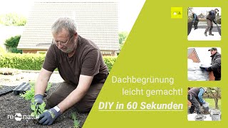 DIY in 60 Sekunden Dachbegrünung leicht gemacht [upl. by Durning]