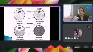 Type of Egg  Structure of Ovum and Sperm  NDVSU  1st Year ANATOMY Lecture [upl. by Avery]