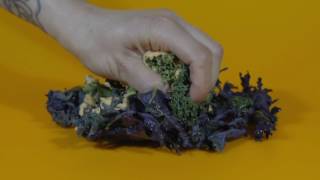 KALE CHIPS  CIBO SUPERSONICO [upl. by Wallas659]