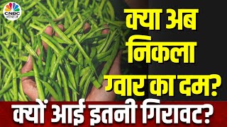 Guar Gum Commodity ग्वार गम में 5 हफ्तों के बाद भारी गिरावट आगे कैसे नज़र आ रहे हैं भाव NCDEX [upl. by Frydman]