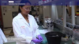 How to Control Contamination in PCR lab [upl. by Jb]