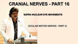 CRANIAL NERVES  PART 16 SUPRA NUCLEAR EYE MOVEMENTS  SACCADES OKN OCULAR MOTOR NERVES PART 2 [upl. by Aisital979]