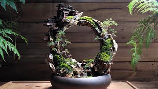 making a mini moon gate garden [upl. by Jory]