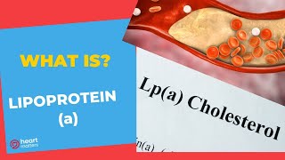 All About Lipoprotein a  Lpa  Why is it important [upl. by Ahsienot328]