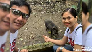 Aguakan Resort Botanikal Park Philippine Eagle at Crocodile Park Tagum City [upl. by Negah367]