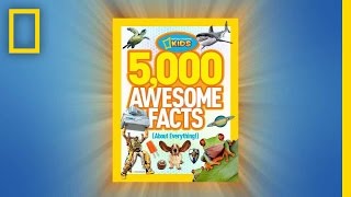 5000 Awesome Facts About Everything  National Geographic [upl. by Surad]