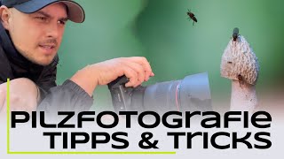 Pilzfotografie Tutorial  5 Tipps für bessere Fotos [upl. by Wichern]