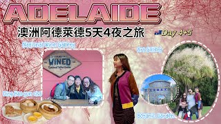 🇦🇺VLOG 最終章 South Australia Adelaide Travel 南澳阿德萊德5天之旅  國家葡萄酒中心🍇  AGSA 🎨｜Botanic garden [upl. by Ellivnarg]