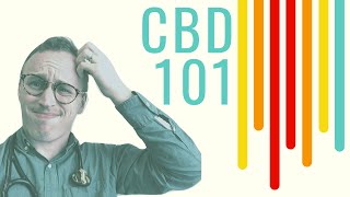 CBD Oil 101 Doctor Explains for ABSOLUTE beginners [upl. by Barger584]