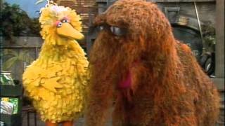 Sesame Street  Snuffy fails to be seen [upl. by Odicalp]