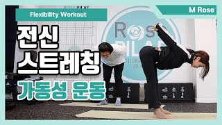 로즈홈트전신 스트레칭 가동성 운동 Full body stretching Exercises Flexibility workout [upl. by Reggis]