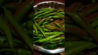 मोटे Mirchi ka Achar Recipe Hindiमिर्ची का अचार कम मसाले में आसान तरीकाghaniji ki kichan [upl. by Andy]