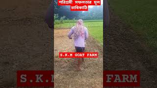 SKM GOAT FARM9775213585GOATFARMING [upl. by Ahsiket379]