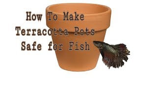 How To Make Terracotta Pots Safe For Fish  Blazing Bettas [upl. by Weinman]