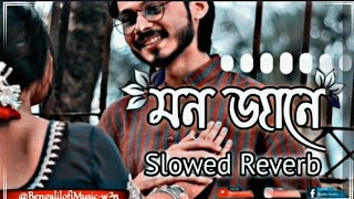 Mon JaneSlowed Reverb Poran Jai Joliya ReDevSubhashree jeet Gannguli Bengali Lofi song [upl. by Samalla]