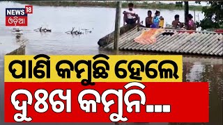 Odisha Flood News କମୁଛି ପାଣି ହେଲେ ଯାଇନି ଦୁଃଖ  Flood Situation In Balasore Odisha Rain Odia News [upl. by Iarahs]