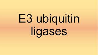 E3 Ubiquitin Ligases Pronunciation  How to Say  How to Pronounce [upl. by Soisinoid]