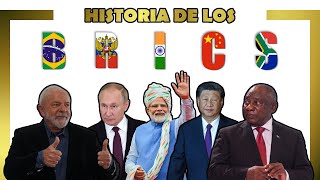 Qué son LOS BRICS 🌏 Su HISTORIA 20092024  Julio Cea [upl. by Hastie]