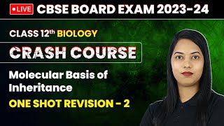 Molecular Basis of Inheritance  One Shot Revision Part 2  Class 12 Biology Crash Course Ch 5 [upl. by Elie807]