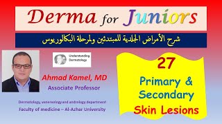 027 Primary and Secondary Skin Lesions [upl. by Lissa638]