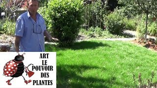 Tuto Jardinage Comment faire un gazon Semis de gazon [upl. by Llerrit]