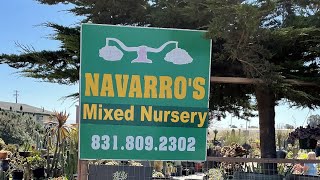 Navarros Mixed Nursery amp General landscape design ❤️🌵1700 Watsonville Rd Castroville CA 95012 [upl. by Arnoldo]