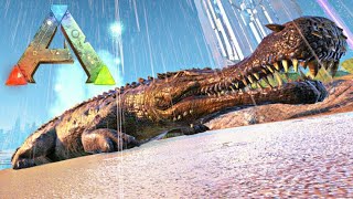 Ark Survival Evolved Crocodilo Imperador Vs Megalodonte  Dilo que Cospe Veneno [upl. by Aneloaup]