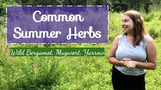 Common Summer Herbs [upl. by Bobbi]