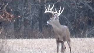 Oklahoma Deer Hunt 2014 Pogany Whitetails [upl. by Cud]