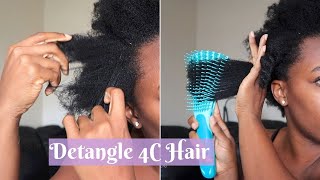 Do This Before You Wash Your Hair Detangle Dry 4C Hair [upl. by Akkin]