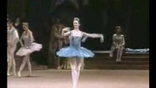 Svetlana Zakharova Bolshoi Ballet Videobaletnet collectio [upl. by Nolaj]