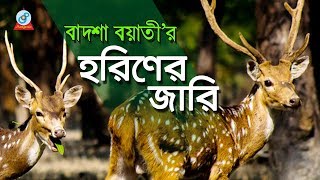 Horiner Jari  হরিণের জারি  Badshah Boyati  Baul Gaan  Jari Gaan  Sangeeta [upl. by Maggi]