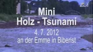 Hochwasser Emme Juli 2012 [upl. by Obadiah233]