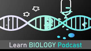 Learn BIOLOGY Podcast Episode 11 Cellular Respiration [upl. by Lambrecht950]