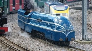 Eastleigh Lakeside Railway  SUMMER GALA 24062012 [upl. by Dnama513]