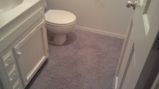 Carpet in the Bathroom Part 1 [upl. by Llacam]