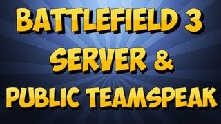 Battlefield 3 Server amp Public Teamspeak [upl. by Adnertal]