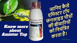 Amistar Top Fungicide Syngenta Amistar Top Fungicide Amistar Top Syngenta Bajrang Beej Bhandar [upl. by Samtsirhc37]