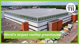 Worlds largest rooftop greenhouse opens in Montreal [upl. by Yahsat]