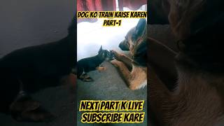 German shepherd ko training kaise dein part 1 germanshepherd rottweilerpuppy theanimalsok dog [upl. by Francklin]