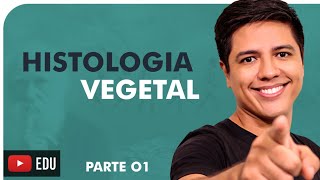 HISTOLOGIA VEGETAL PARTE 01  BOTÂNICA  Prof Kennedy Ramos [upl. by Macmullin768]