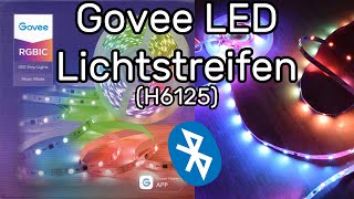 Govee Bluetooth LED RGBIC Lichtstreifen H6125 verbinden  kurze Funktionsübersicht [upl. by Madlin]